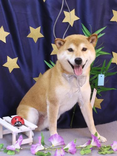 20230729ススムくん